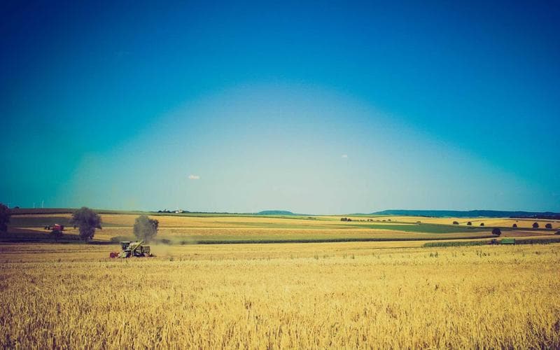 AI-Powered Analytics Platform